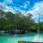 Ambitona Marine Conservation Association