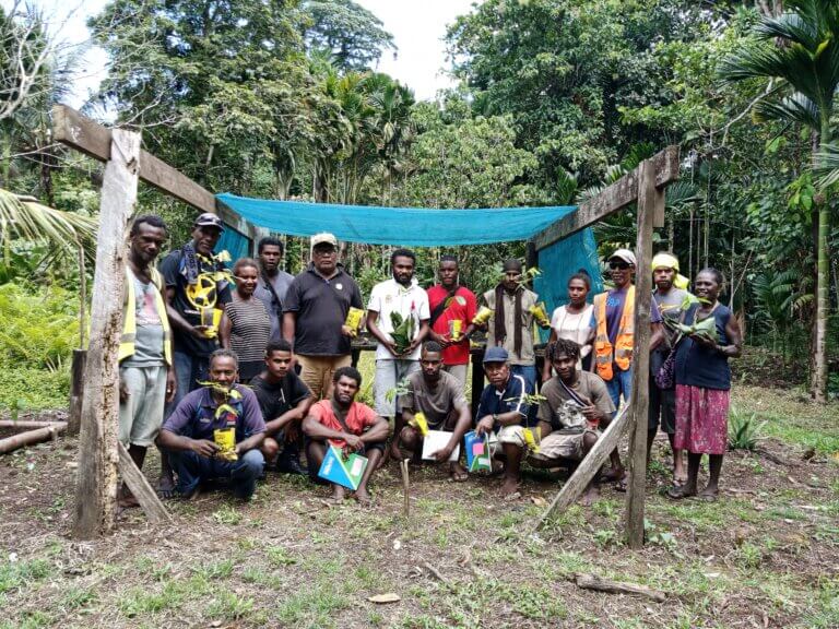 Mai Ma`asina Green Belt Second Reforestation Program Is Progressing.